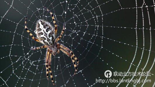 北京联动北方科技有限公司