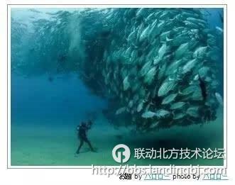 北京联动北方科技有限公司