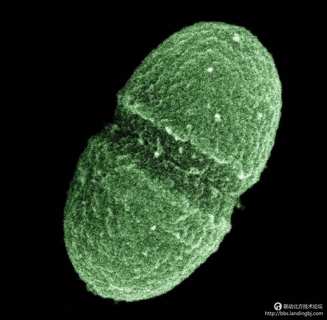 北京联动北方科技有限公司