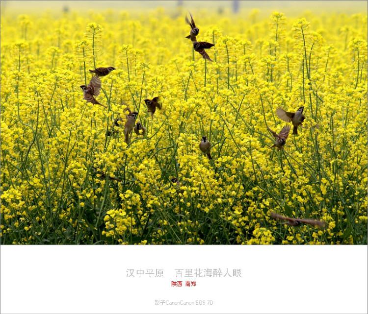 北京联动北方科技有限公司