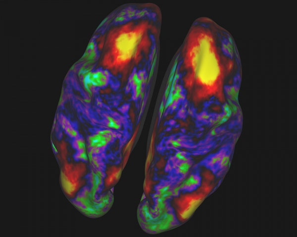 北京联动北方科技有限公司